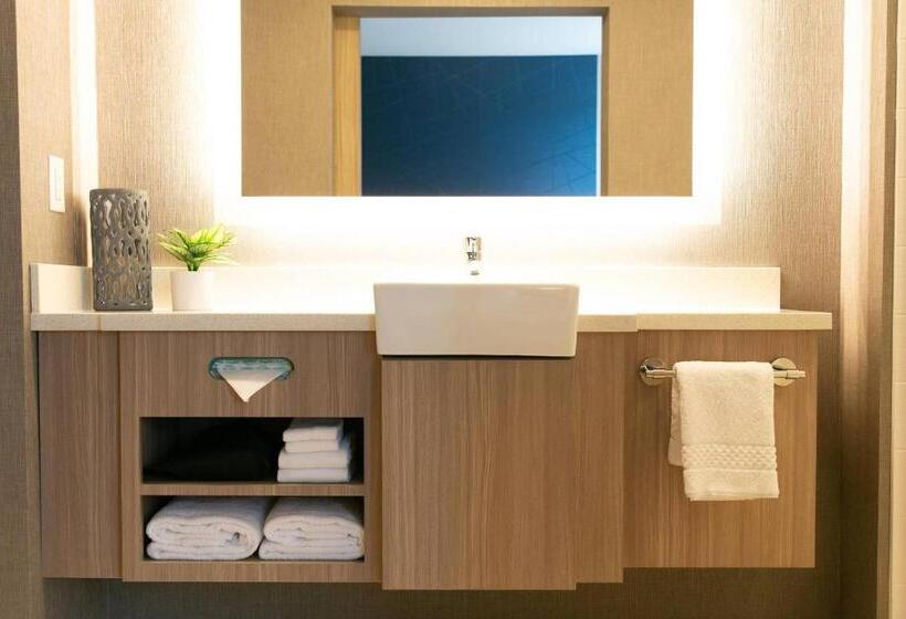 套房, Springhill Suites By Marriott South Bend Notre Dame Area