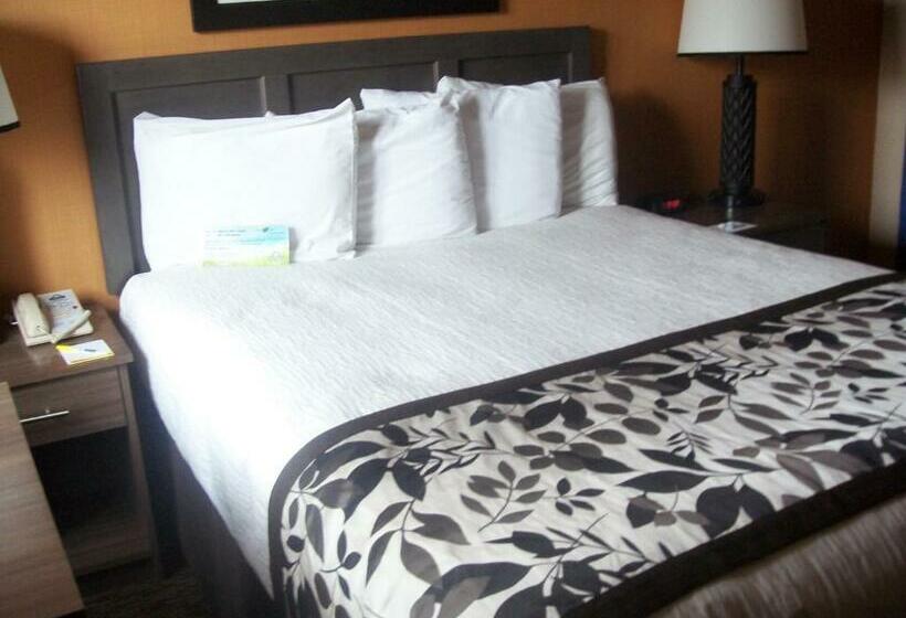 이코노미 룸, Days Inn & Suites By Wyndham Bozeman