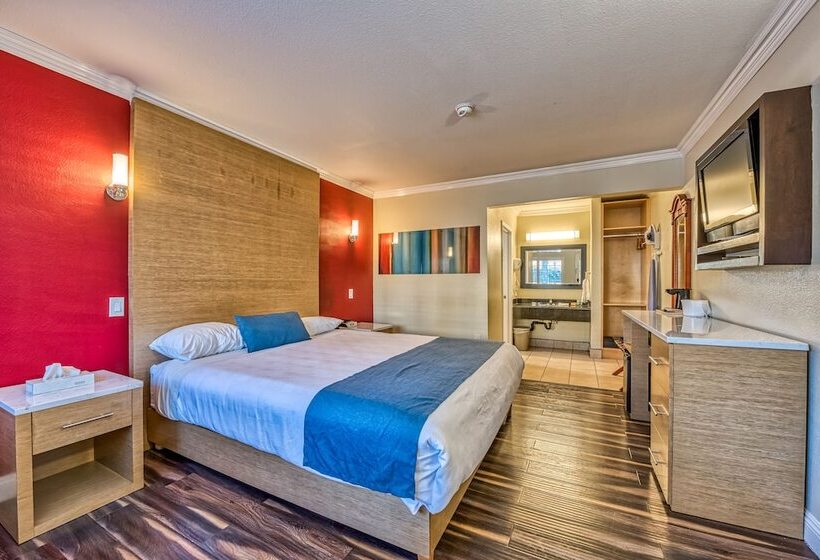 اتاق سوپریور, Hollywood City Inn