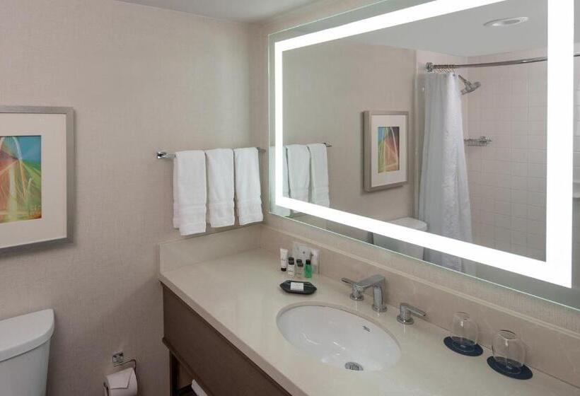 带大床的标准间, Sheraton Dallas Hotel By The Galleria