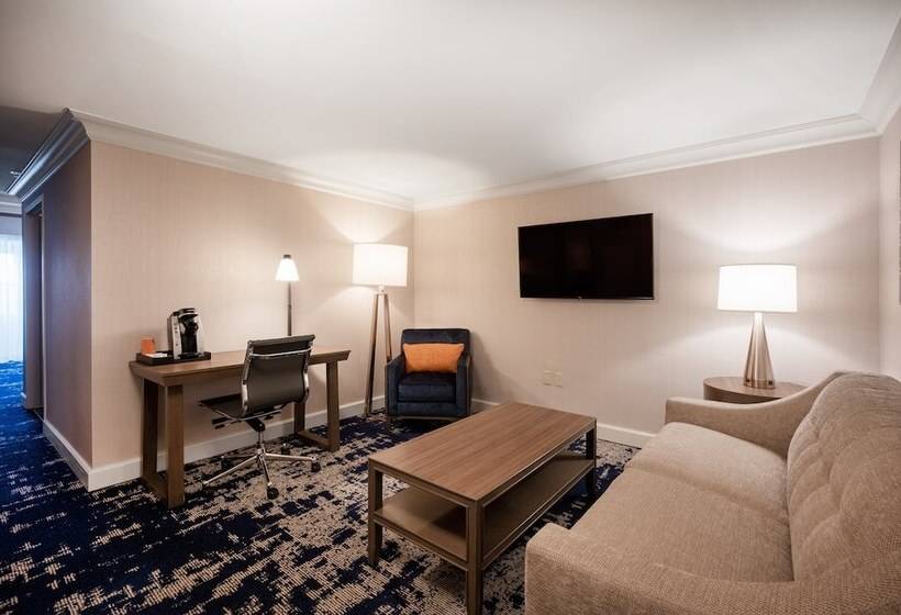 Полулюкс для Инвалидов, Crowne Plaza Albany  The Desmond
