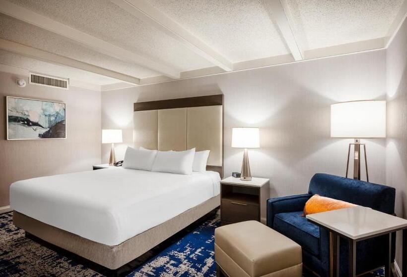 Номер Стандарт Кровать Кинг Адаптированный для Инвалидов, Crowne Plaza Albany  The Desmond