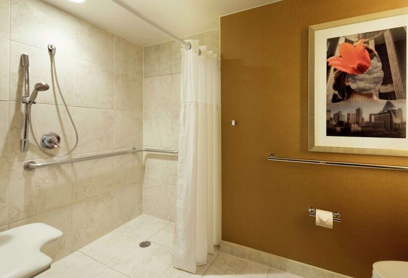 身障者適用スタンダードルーム, Doubletree By Hilton Dallascampbell Centre