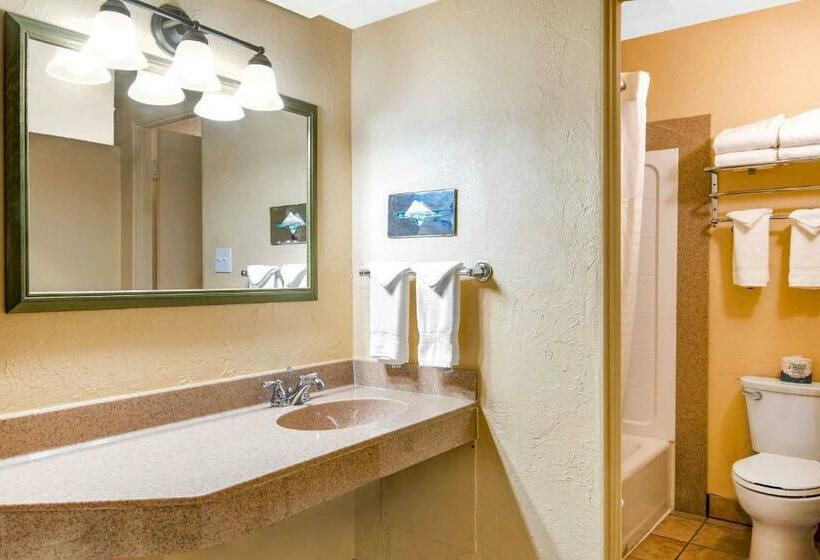 Номер Стандарт, Econo Lodge Inn & Suites Durango