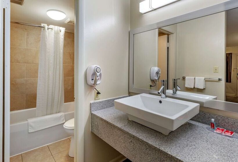 带2个双人床的标准工作室, Econo Lodge North Charlottesville