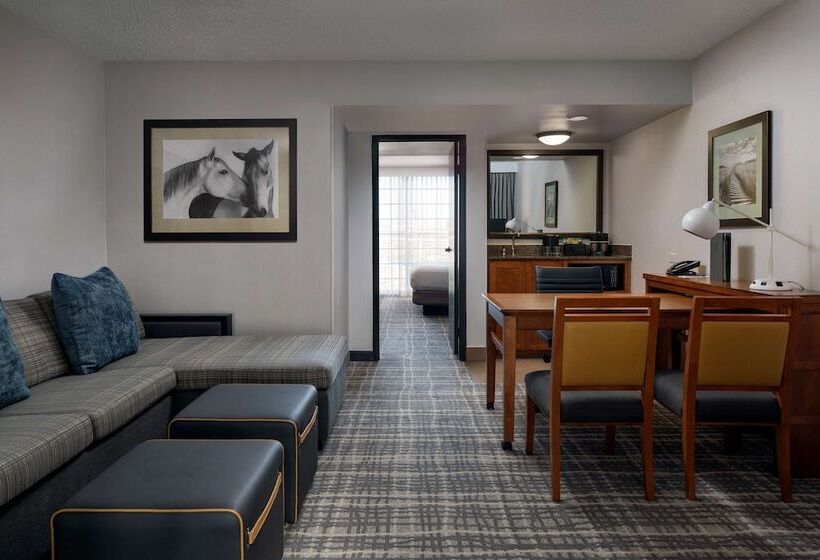 身障者適用スイートルーム, Embassy Suites By Hilton Austin Central