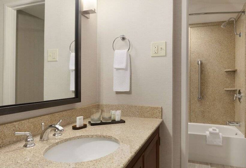 סוויטה, Embassy Suites By Hilton El Paso