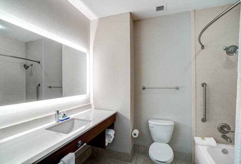 스위트, Holiday Inn Express Hotel Winona North, An Ihg