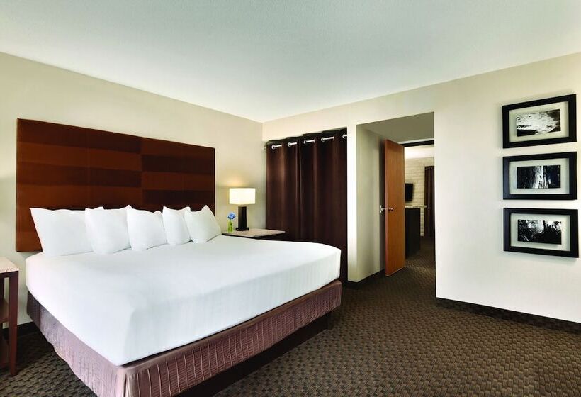 Люкс, Hyatt Regency Green Bay