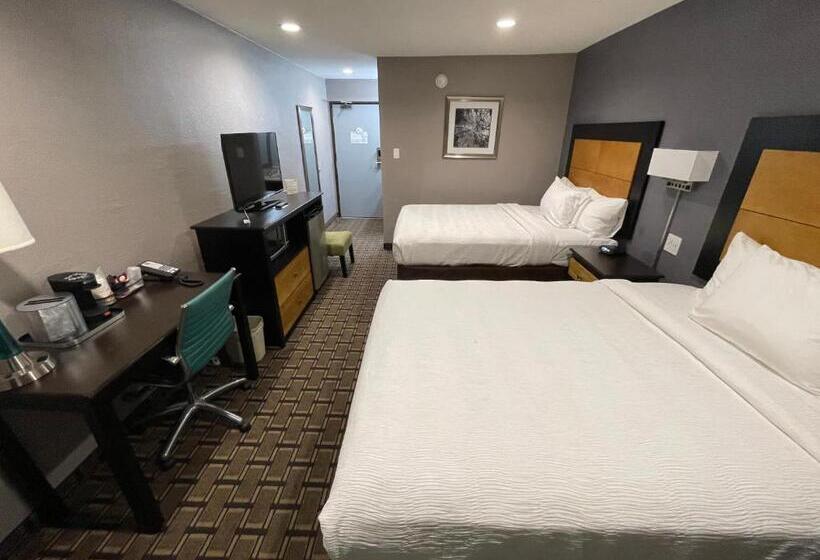 标准间, Quality Inn  Denton