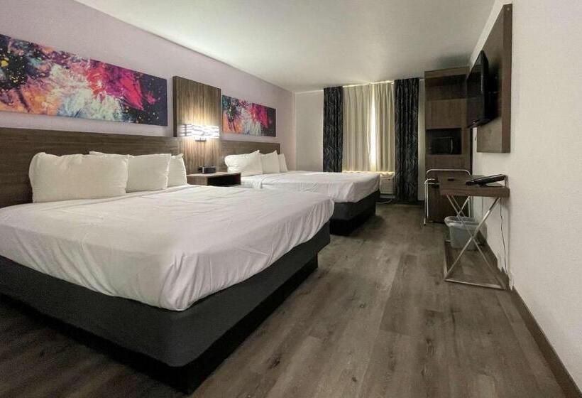 高级大房间, Quality Inn  Denton