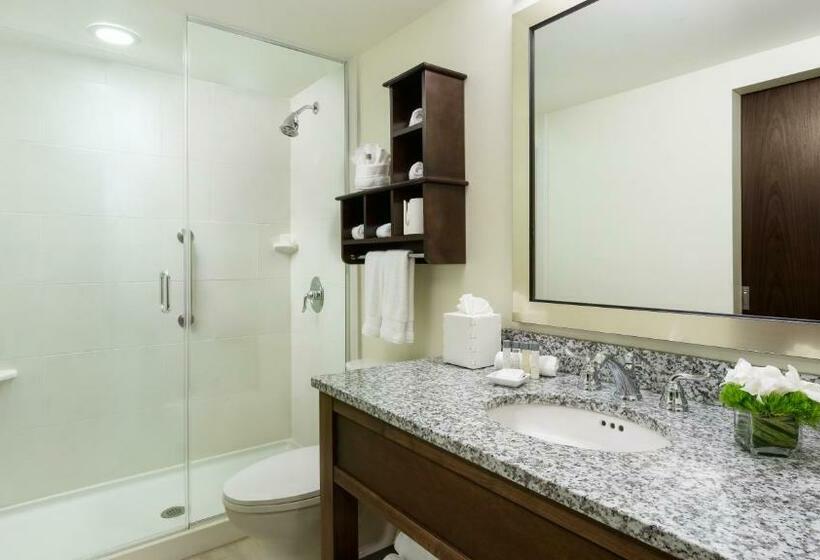 带大床的标准间, 24 North Hotel Key West