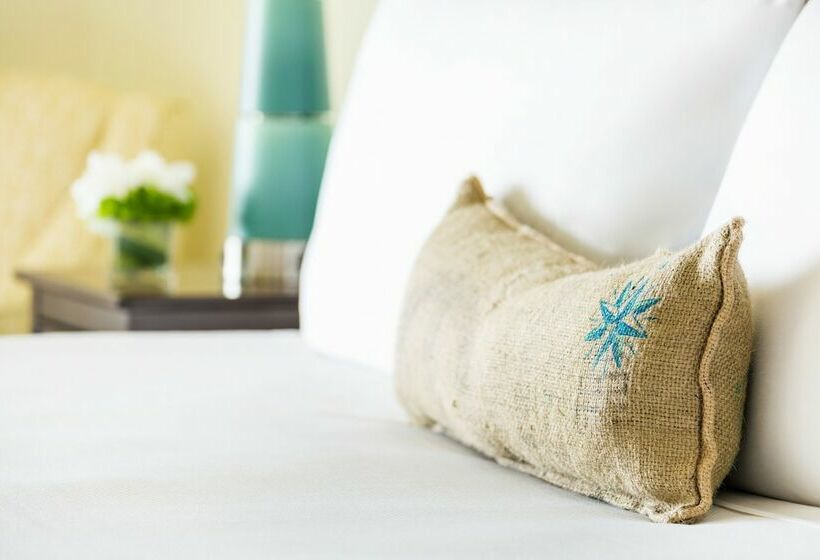 小型套房带海景, 24 North Hotel Key West