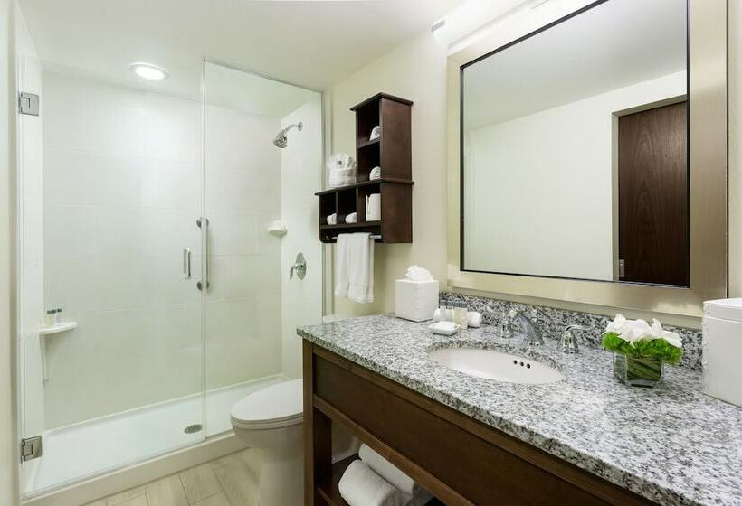 带2个卧室的套房, 24 North Hotel Key West
