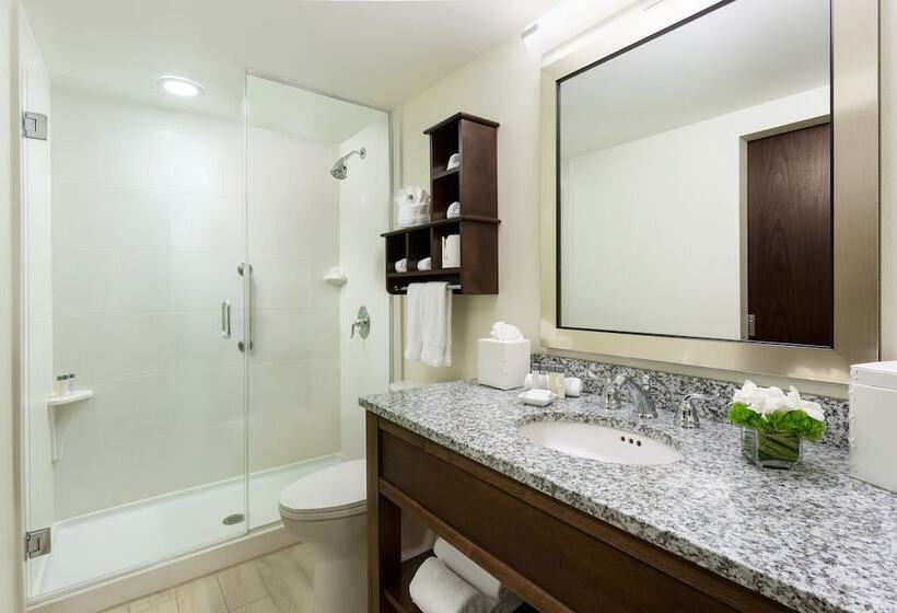 带特大床的标准间, 24 North Hotel Key West