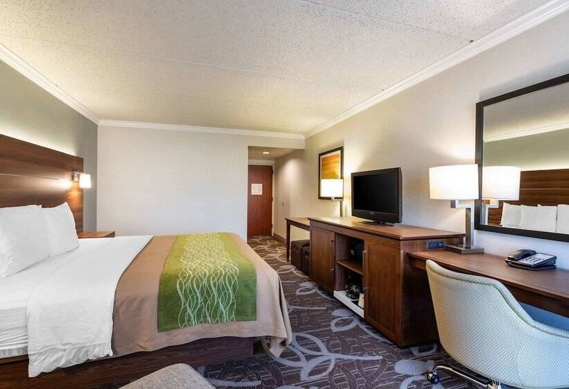Standard-invahuone King-vuode, Comfort Inn Anaheim Resort