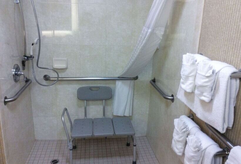 Standard-invahuone King-vuode, Comfort Inn Anaheim Resort