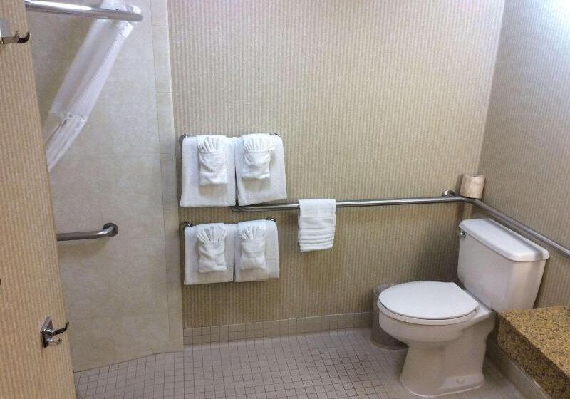 Standard-huone King-vuode, Comfort Inn Anaheim Resort
