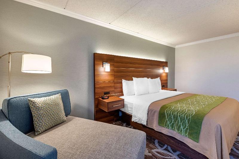 Standard-huone King-vuode, Comfort Inn Anaheim Resort