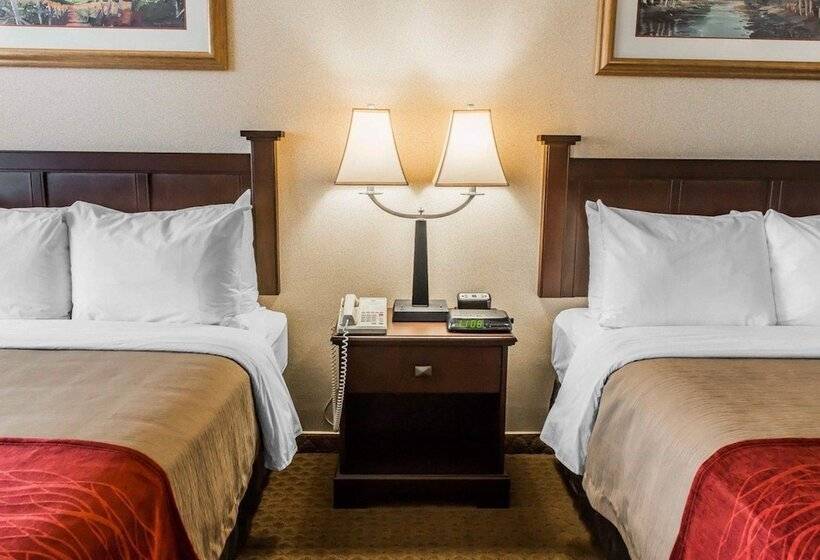 스탠다드 룸 더블 침대 2개, Comfort Inn