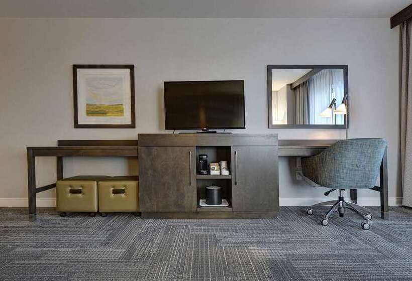 标准间, Doubletree By Hilton Phoenix Mesa