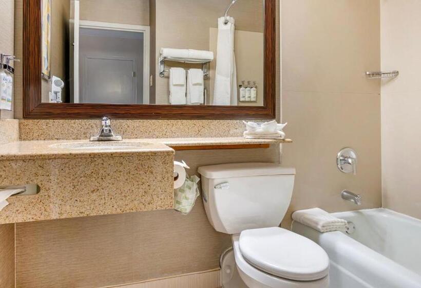 Стандартный Номер Кровать Кинг, Comfort Inn & Suites Danbury Bethel