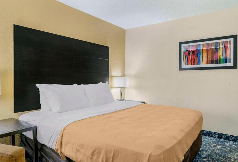 Стандартный Номер Кровать Кинг, Quality Inn & Suites Banquet Center
