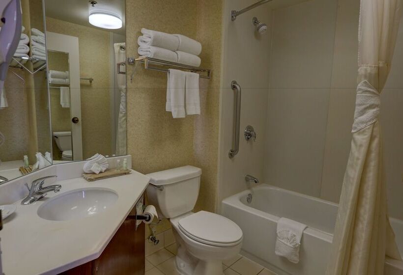 Номер Стандарт 2 Двуспальные Кровати, Surestay Plus Hotel By Best Western Chicago Lombard