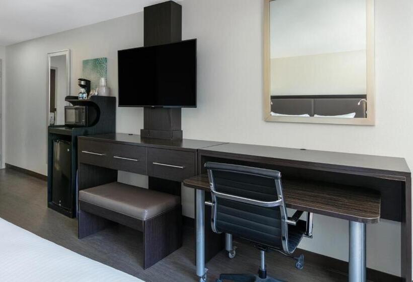 اتاق استاندارد با تخت بزرگ برای معلولان, Wyndham Corpus Christi Resort North Padre Island