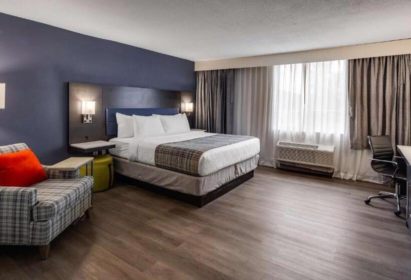 장애인을 위한 킹사이즈 침대 스탠다드 룸, Best Western Premier Richmond City Gateway