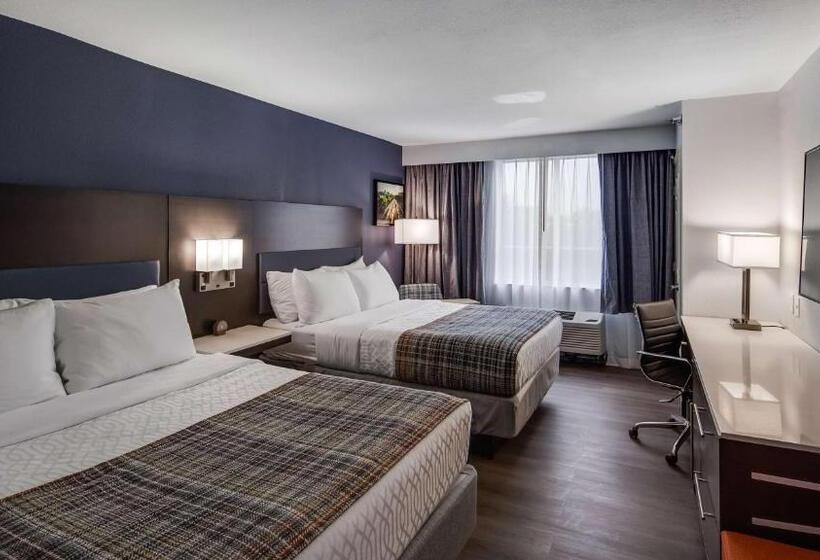 스탠다드 룸, Best Western Premier Richmond City Gateway
