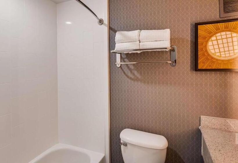 스탠다드 룸 킹사이즈 침대, Best Western Premier Richmond City Gateway