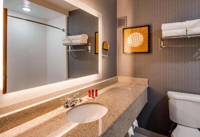 이그제큐티브 룸 킹사이즈 침대, Best Western Premier Richmond City Gateway