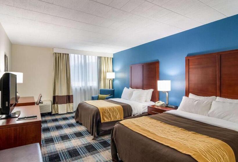 Номер Стандарт 2 Двуспальные Кровати, Comfort Inn & Suites