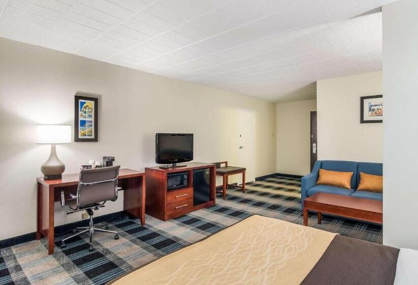 Номер Стандарт, Comfort Inn & Suites