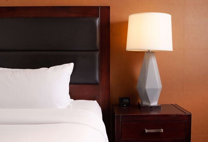 장애인을 위한 스탠다드 룸, Doubletree By Hilton Hotel Cleveland Downtown   Lakeside