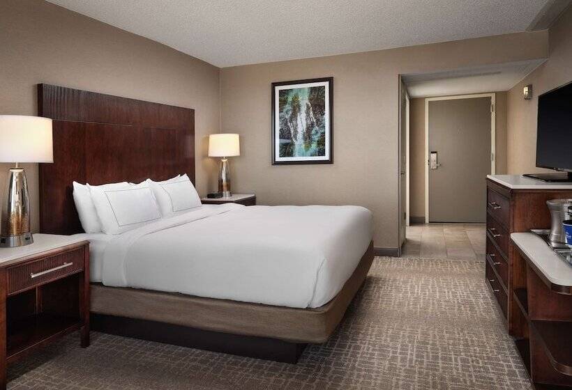 Номер Executive, Hilton Fort Collins