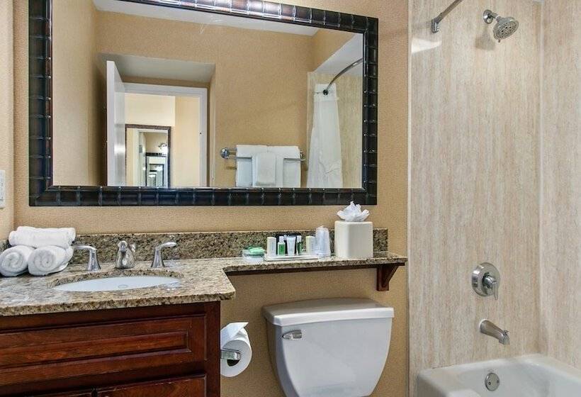 Люкс Вид на Город, Holiday Inn & Suites Clearwater Beach, An Ihg