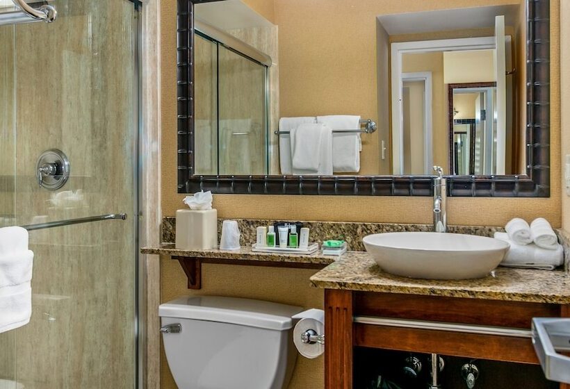 Люкс Вид на Город, Holiday Inn & Suites Clearwater Beach, An Ihg