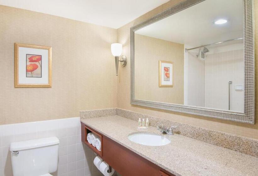 Стандартный Номер Кровать Кинг, Holiday Inn Cincinnati Eastgate, An Ihg