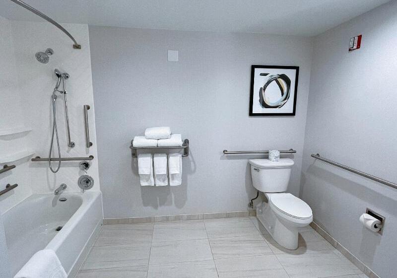 Номер Стандарт Кровать Кинг Адаптированный для Инвалидов, Holiday Inn Los Angeles   Lax Airport, An Ihg