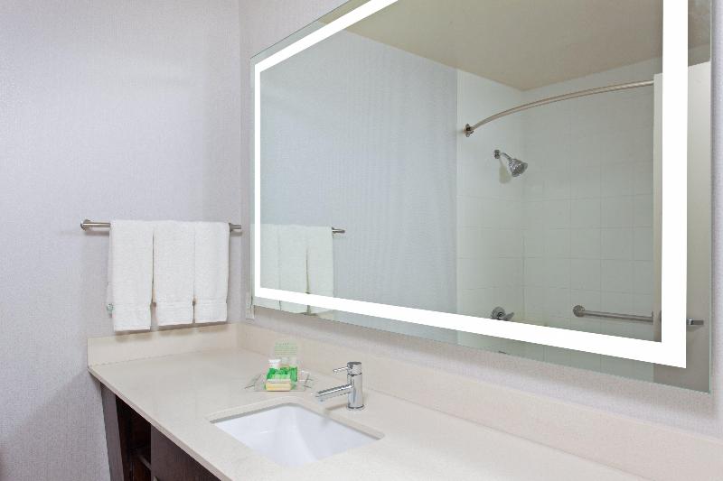 Стандартный Номер Кровать Кинг, Holiday Inn Los Angeles   Lax Airport, An Ihg