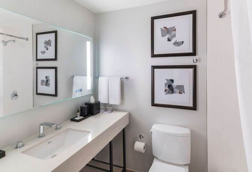 Pokój Standard 2 Łóżka Małżeńskie, Hyatt Regency Ohare Chicago