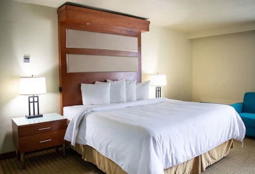 스탠다드 룸, Punta Gorda Waterfront  & Suites