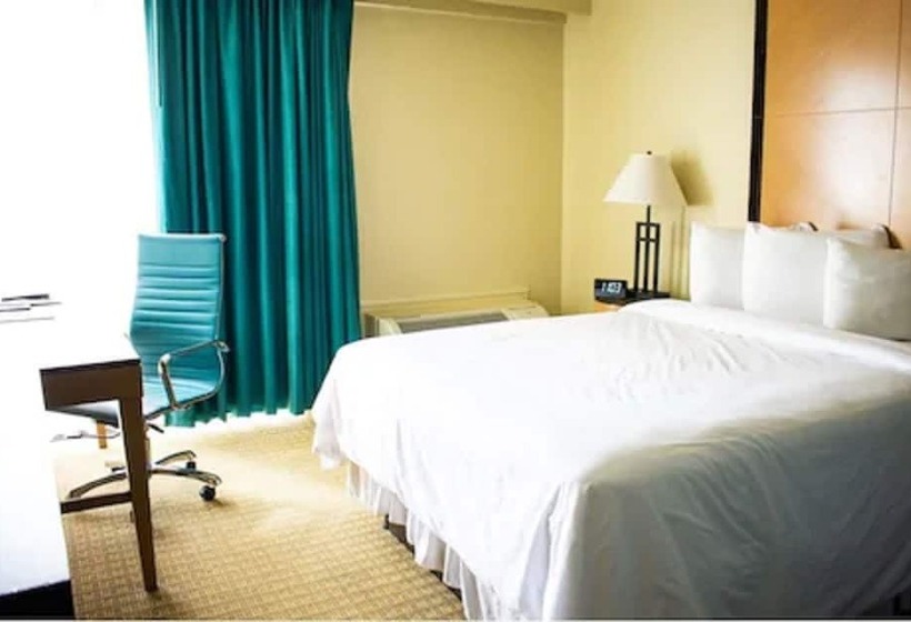 스탠다드 룸 더블 침대, Punta Gorda Waterfront  & Suites