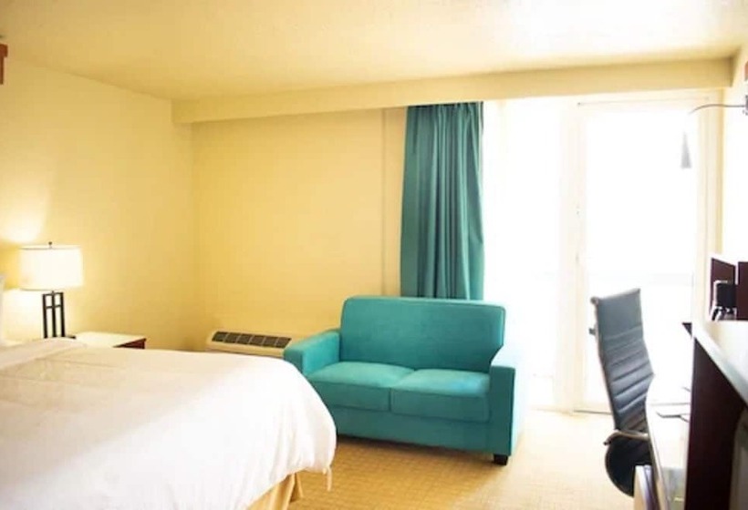 스탠다드 싱글 룸 싱글침대, Punta Gorda Waterfront  & Suites