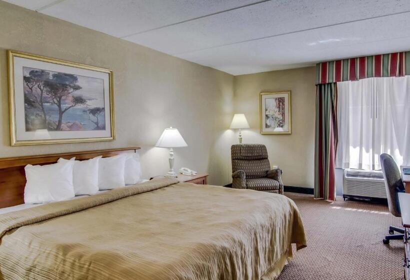 스탠다드 룸 킹사이즈 침대, Quality Hotel And Conference Center