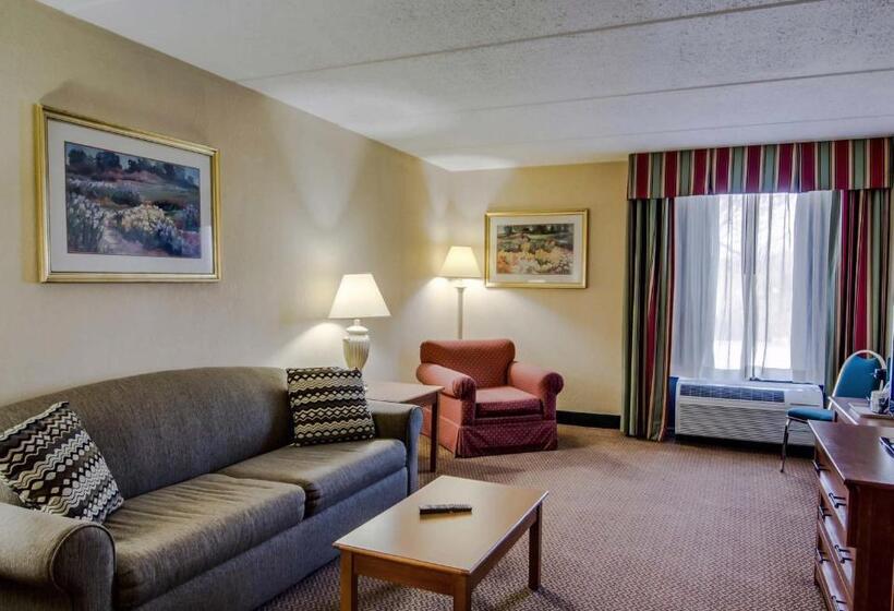 스탠다드 룸 킹사이즈 침대, Quality Hotel And Conference Center