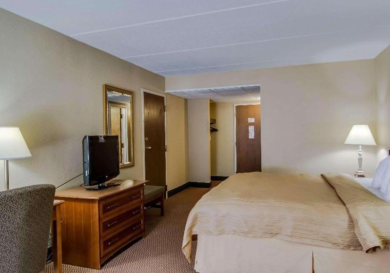 带大床的标准间, Quality Hotel And Conference Center