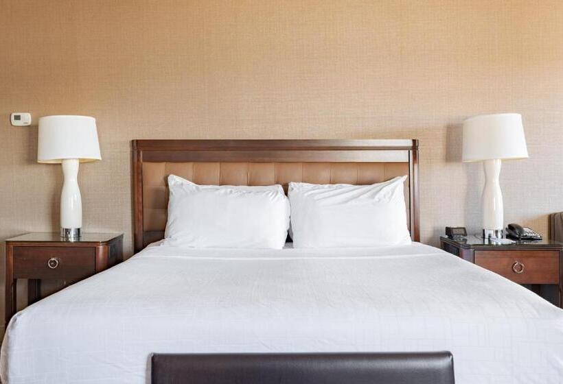 Номер Стандарт Кровать Кинг Адаптированный для Инвалидов, Wyndham Omaha Hotel   West Dodge
